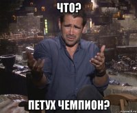 что? петух чемпион?