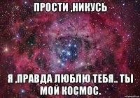 прости ,никусь я ,правда люблю тебя.. ты мой космос.