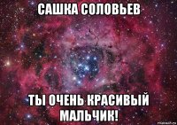 сашка соловьев ты очень красивый мальчик!