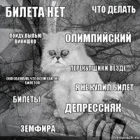 Билета нет Я не купил билет Олимпийский Земфира Она обежала, что всем хватит билетов Что делать Депрессняк Пойду выпью винишко Билеты Перекупщики везде