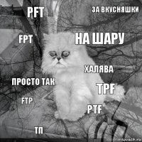 pft tpf на шару тп просто так за вкусняшки ptf fpt ftp халява