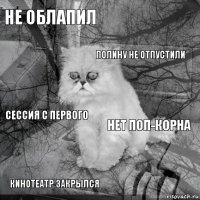 Не облапил Нет поп-корна Полину не отпустили Кинотеатр закрылся Сессия с первого     