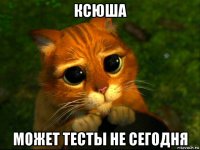 ксюша может тесты не сегодня