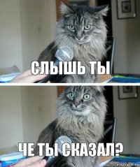 слышь ты Че ты сказал?