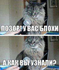 позор! у вас блохи а как вы узнали?