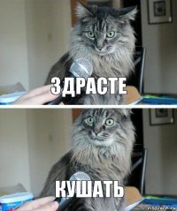 здрасте кушать