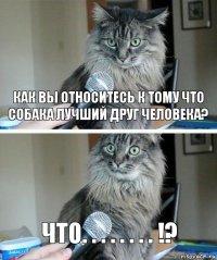 как вы относитесь к тому что собака лучший друг человека? что. . . . . . . . !?