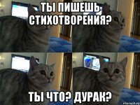 ты пишешь стихотворения? ты что? дурак?