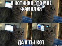 я котикин это моё фамилия да а ты кот