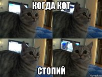 когда кот стопий