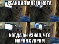 реакция моего кота когда он узнал, что мария суприм