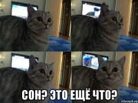  сон? это ещё что?