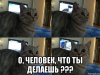  о, человек, что ты делаешь ???