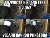 то чувство, когда тебе по лбу уебали пачкой winstona