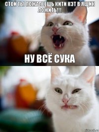 Стой ты пожалеешь кити кэт в ящик ложить!!! Ну всё сука