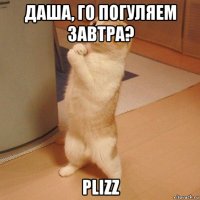 даша, го погуляем завтра? plizz