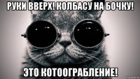 руки вверх! колбасу на бочку! это котоограбление!