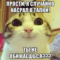 прости, я случайно насрал в тапки! ты не обижаешься???