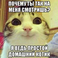 почему ты так на меня смотришь? я ведь простой домашний котик