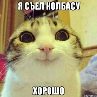 я съел колбасу хорошо