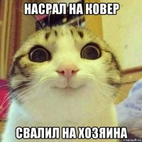 насрал на ковер свалил на хозяина