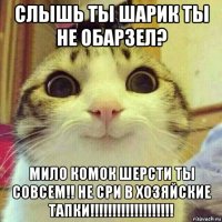 слышь ты шарик ты не обарзел? мило комок шерсти ты совсем!! не сри в хозяйские тапки!!!!!!!!!!!!!!!!!!!