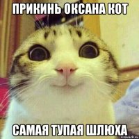 прикинь оксана кот самая тупая шлюха