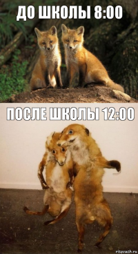 До школы 8:00 После школы 12:00