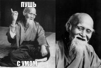 пушь с умом  