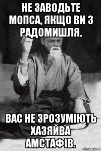 не заводьте мопса, якщо ви з радомишля. вас не зрозуміють хазяйва амстафів.