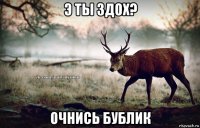 э ты здох? очнись бублик