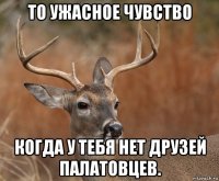 то ужасное чувство когда у тебя нет друзей палатовцев.