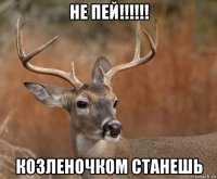 не пей!!!!!! козленочком станешь