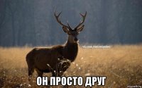  он просто друг