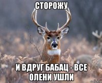 сторожу и вдруг бабац - все олени ушли