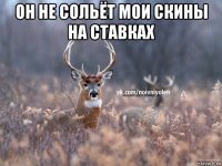 он не сольёт мои скины на ставках 