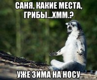 саня, какие места, грибы...хмм.? уже зима на носу