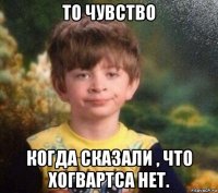 то чувство когда сказали , что хогвартса нет.