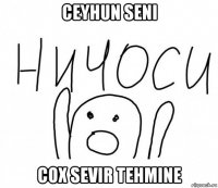 ceyhun seni cox sevir tehmine