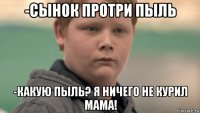 -сынок протри пыль -какую пыль? я ничего не курил мама!