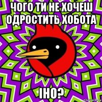 чого ти не хочеш одростить хобота іно?