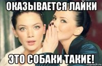 оказывается лайки это собаки такие!