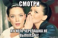 смотри а у него черепашка не выползает