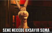  sene necede oxsayir sema