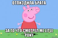 отпиздила брата за то что смотрел me litle pony