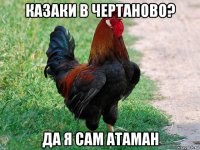 казаки в чертаново? да я сам атаман