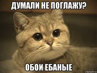 думали не поглажу? обои ебаные