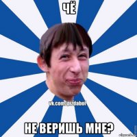 чё не веришь мне?