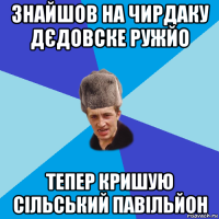 знайшов на чирдаку дєдовске ружйо тепер кришую сільський павільйон