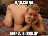 иди сюда мой александр